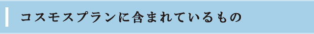 コスモスプランに含まれているもの