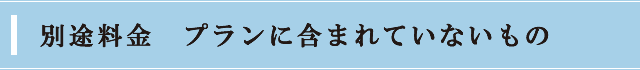 別途料金　プランに含まれていないもの