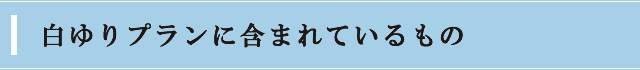 白ゆりプランに含まれているもの